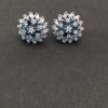 Blue Swachi AD Stud Earring